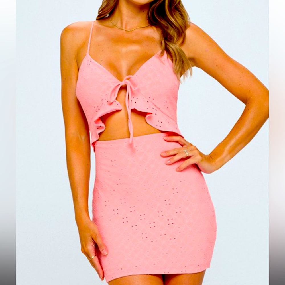 Lovely Day Eyelet Cutout Mini Dress